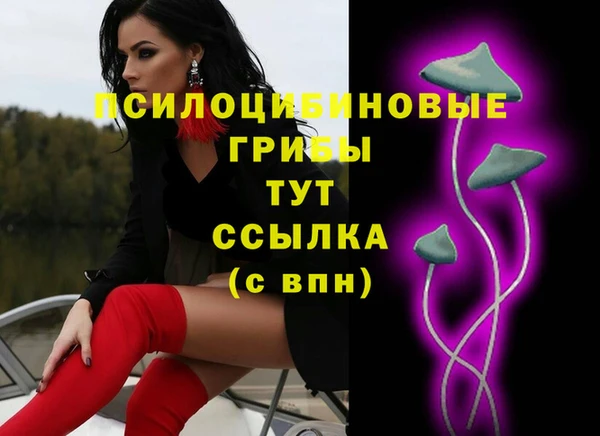 метадон Верея