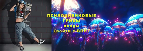 кокс Вяземский