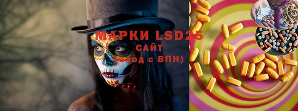 шишки Верхний Тагил