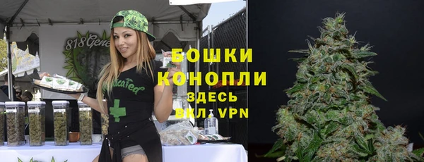 кокс Вяземский