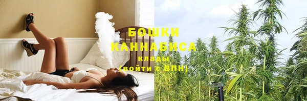 кокс Вяземский